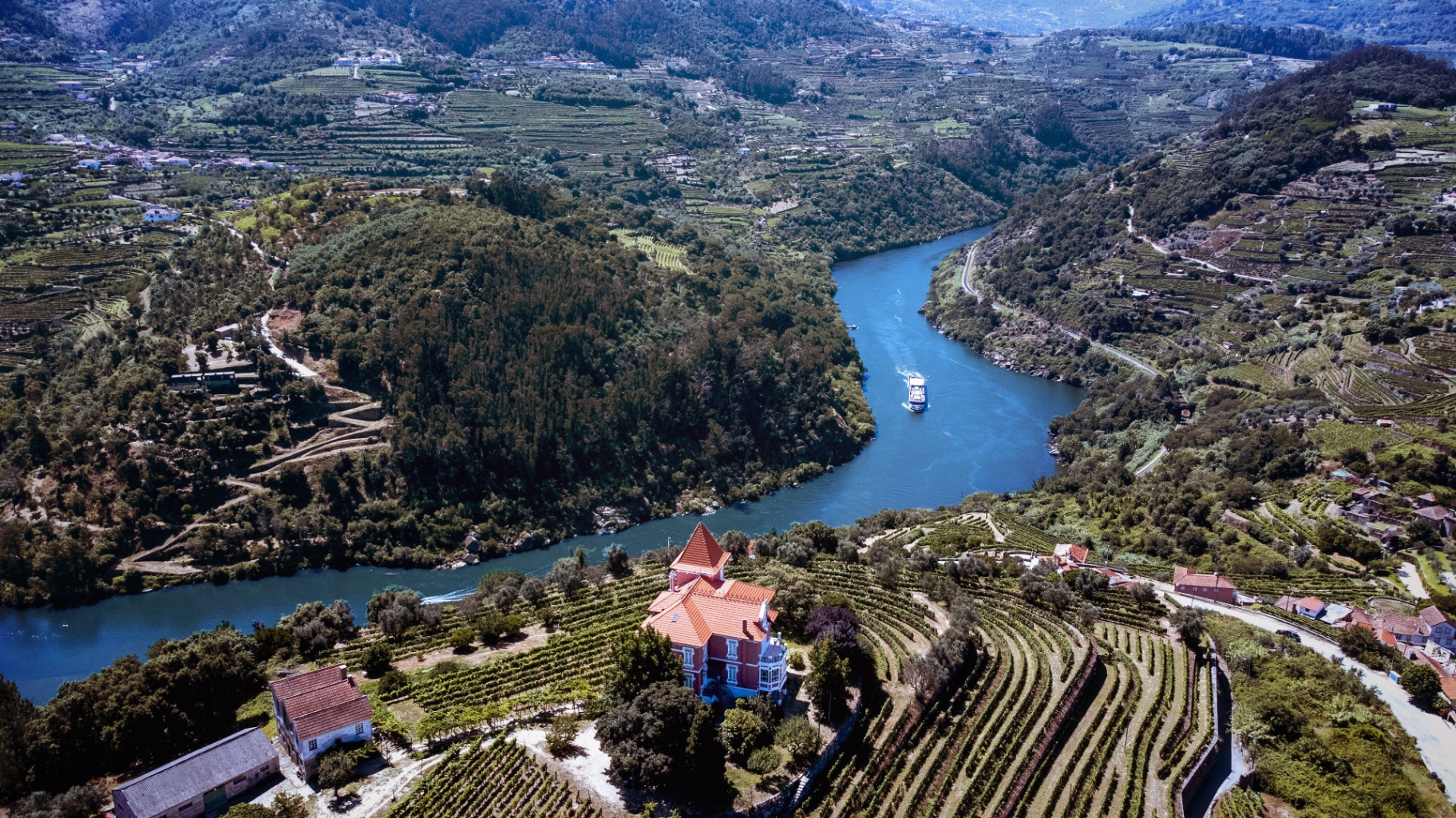 The Douro River winding between steep terraced hillsides under soft light.
